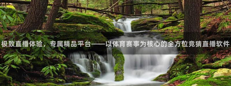 919体育直播间在线看：极致直播体验，专属精品平台——以体育赛事为核心的全方位竞猜直播软件