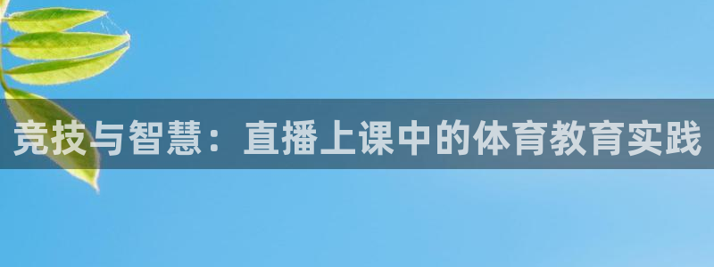 919体育直播间：竞技与智慧：直播上课中的体育教育实践
