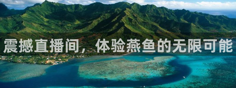 919nba直播篮球比赛：震撼直播间，体验燕鱼的无限可能