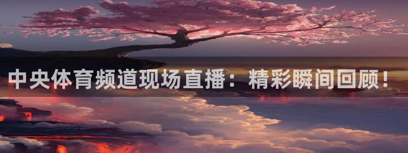 体育直播919