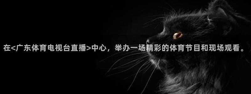 体育直播919