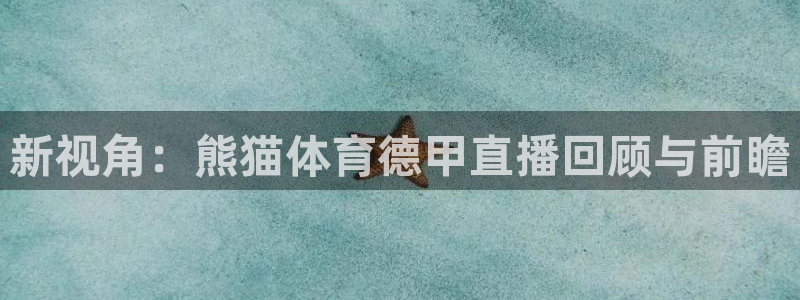919足球直播 01篮球直播：新视角：熊猫体育德甲直播回顾与前瞻