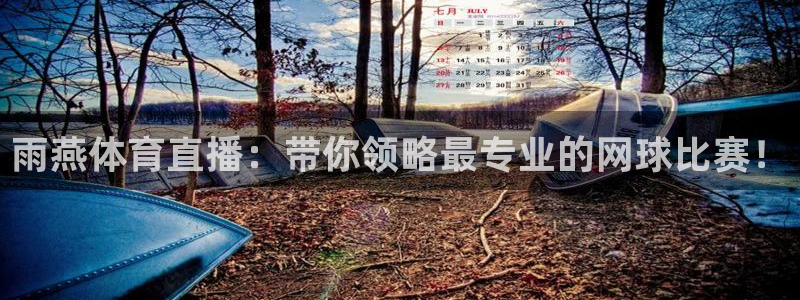 919直播在线看球：雨燕体育直播：带你领略最专业的网球比赛！